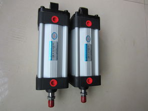 廣東可信賴的10b 5氣缸及磁偶氣缸供應(yīng)商推薦